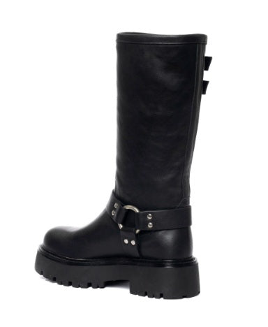 SAMUEL - anfibi - GISEL MOIRE