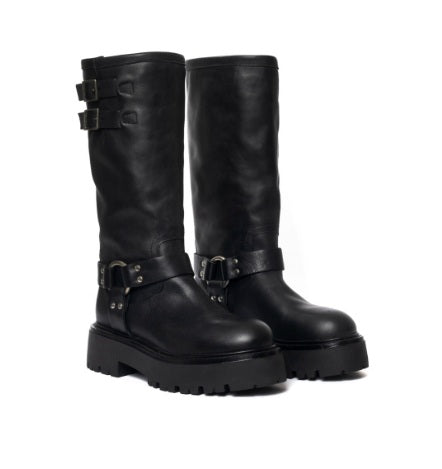 SAMUEL - anfibi - GISEL MOIRE