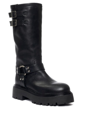 SAMUEL - anfibi - GISEL MOIRE