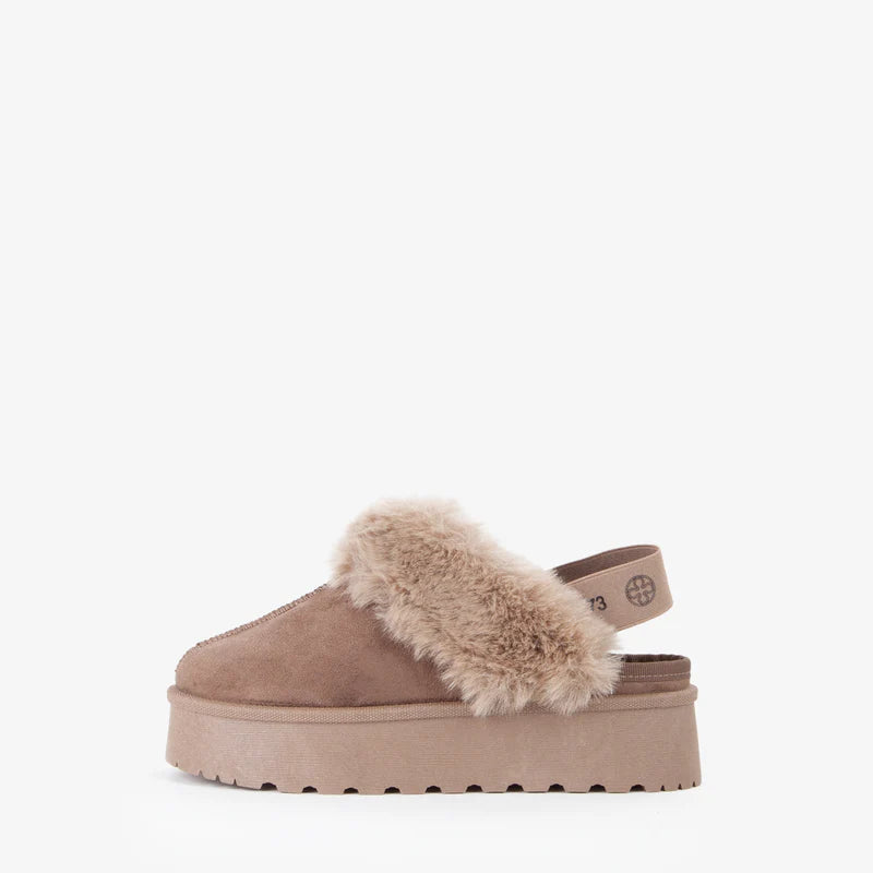 73SC9FP01CAMB -  - V73