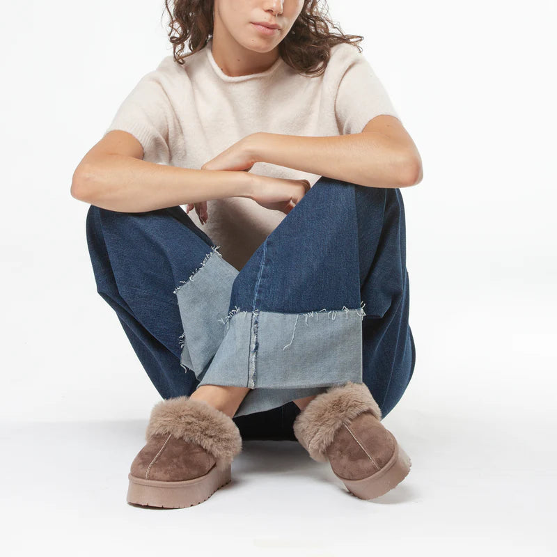 73SC9FP01CAMB -  - V73