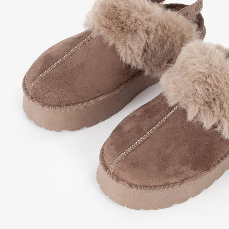 73SC9FP01CAMB -  - V73