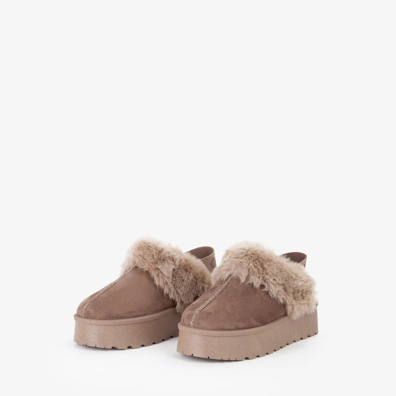 73SC9FP01CAMB -  - V73